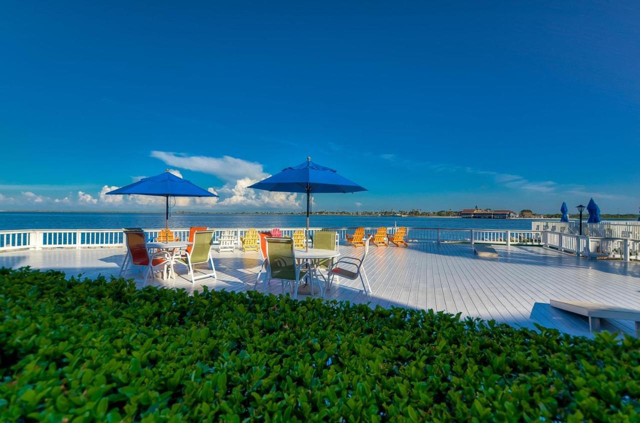 202-Pool, Wifi, Close To Bucs Stadium Tampa Esterno foto